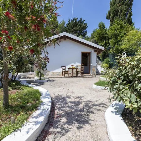 Piccola Stella Con Depandance 别墅 阿尔盖罗